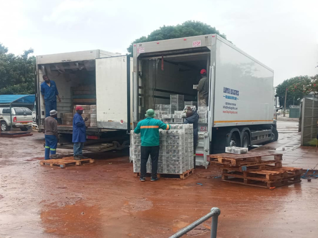 Lloyds Logistics