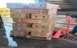 Lloyds Logistics - refridgerated. Max laden weights on each axle 18000kgs - 30pallets