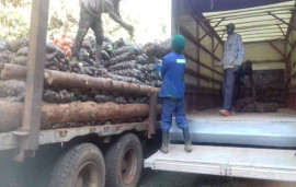 Lloyds Logistics at work